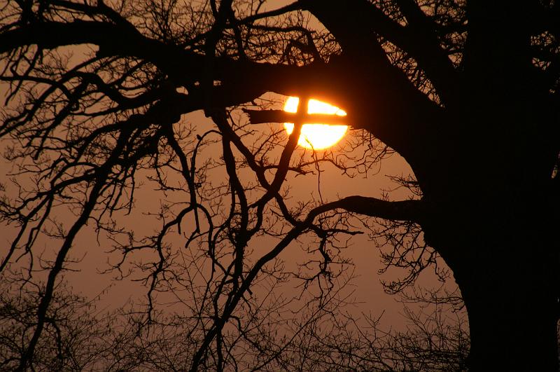 PICT0016.JPG