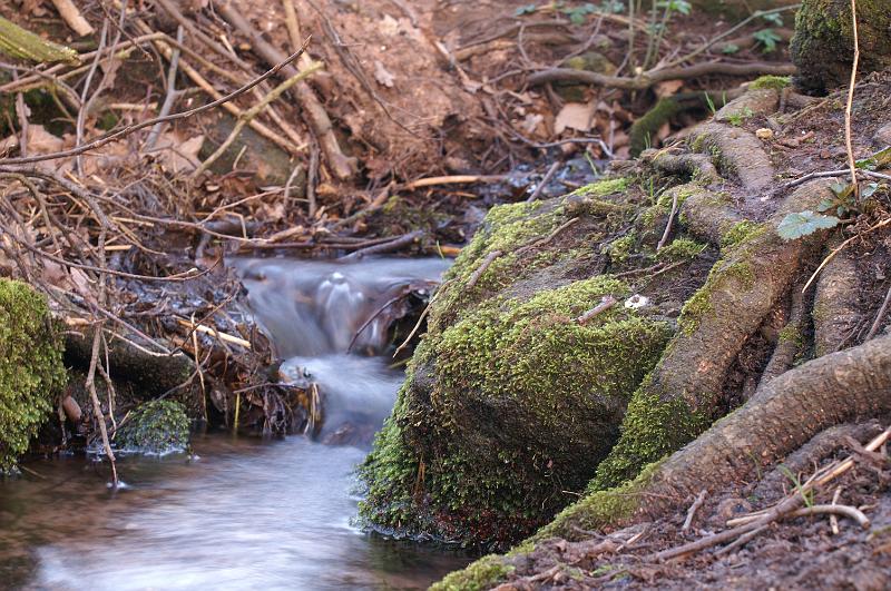 PICT0031.JPG
