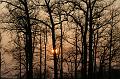 PICT0010