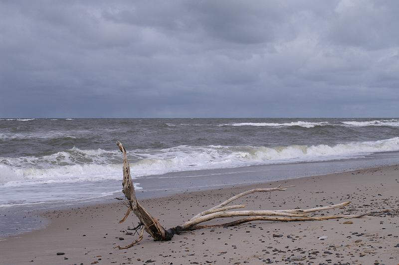 PICT0031.JPG