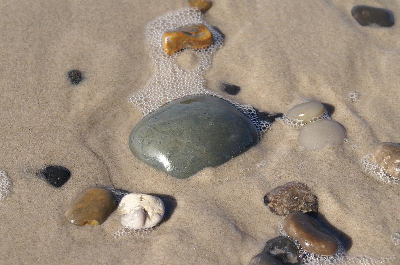 PICT0041.JPG