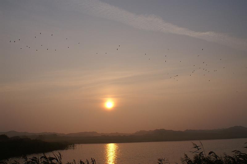PICT0072.JPG