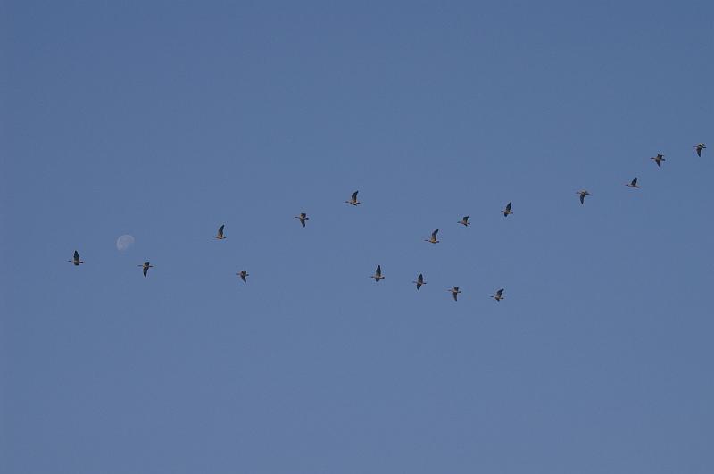 PICT0083.JPG