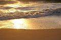 PICT0011