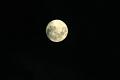 mond1