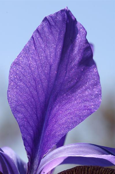PICT0010.JPG