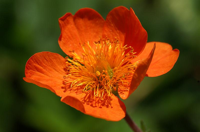 PICT0025.JPG