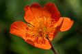 PICT0025