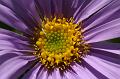 PICT0034