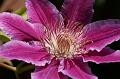 PICT0041