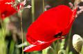 PICT0022