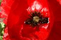 PICT0027