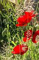 PICT0029