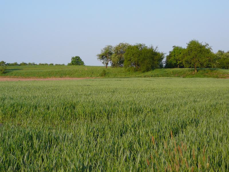 P1010359.JPG