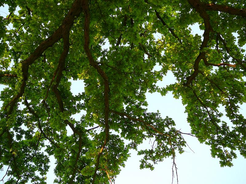 P1010360.JPG