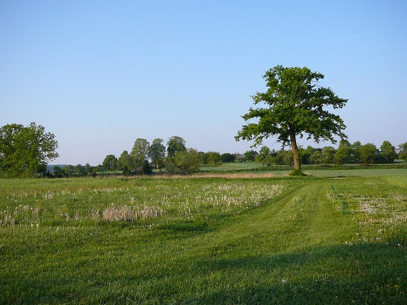 P1010365.JPG