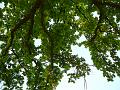 P1010360