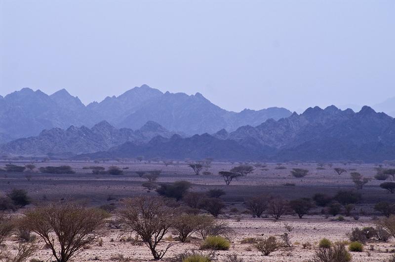 PICT1558.jpg - Ein StÃ¼ck durch den Oman