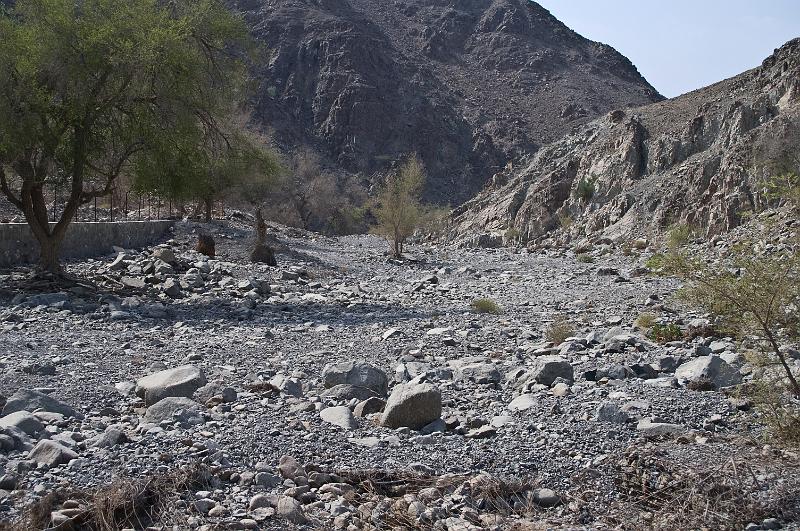 PICT1584.jpg - typisches Wadi