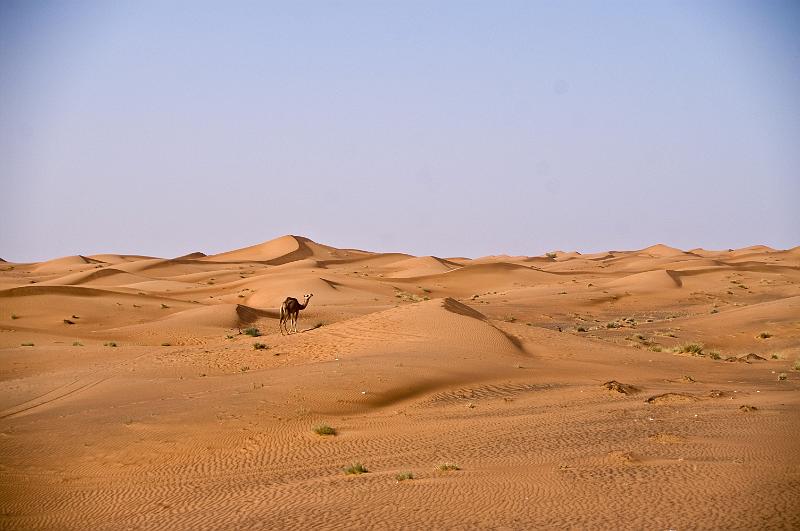 PICT1825.jpg - SanddÃ¼nen bei Al Madam
