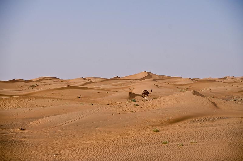 PICT1826.jpg - SanddÃ¼nen bei Al Madam