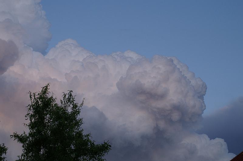 PICT0012.JPG