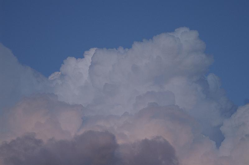 PICT0016.JPG