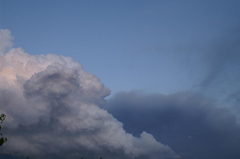 PICT0019.JPG