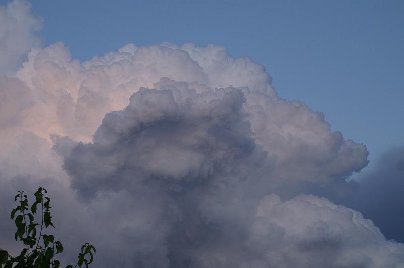 PICT0022.JPG