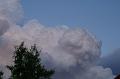 PICT0012