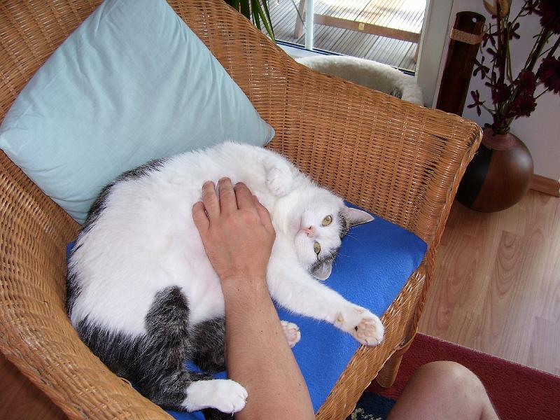 100_0130.JPG