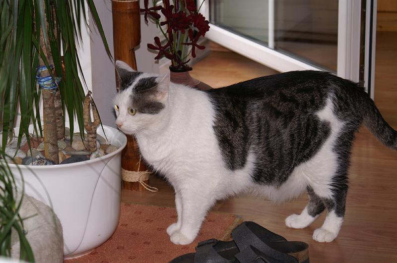 PICT0007.JPG