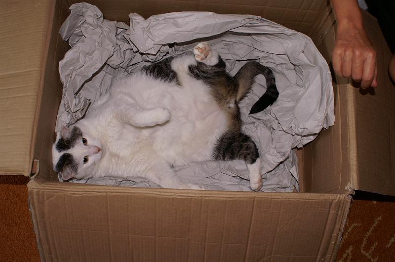 PICT0014.JPG
