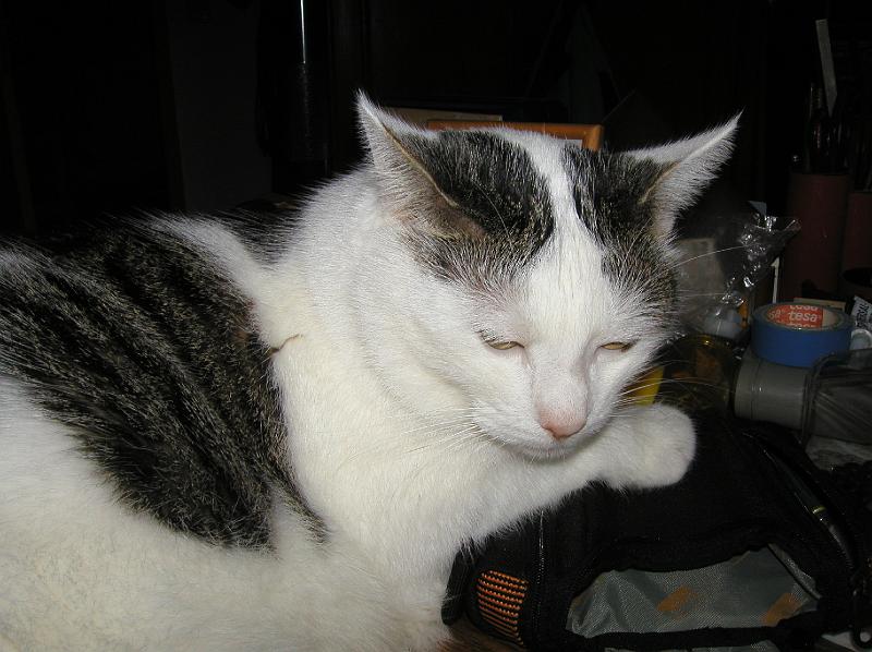 SANY0001.JPG