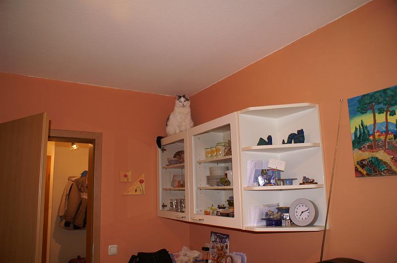 fg_0022.JPG