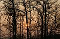Abendspaziergang